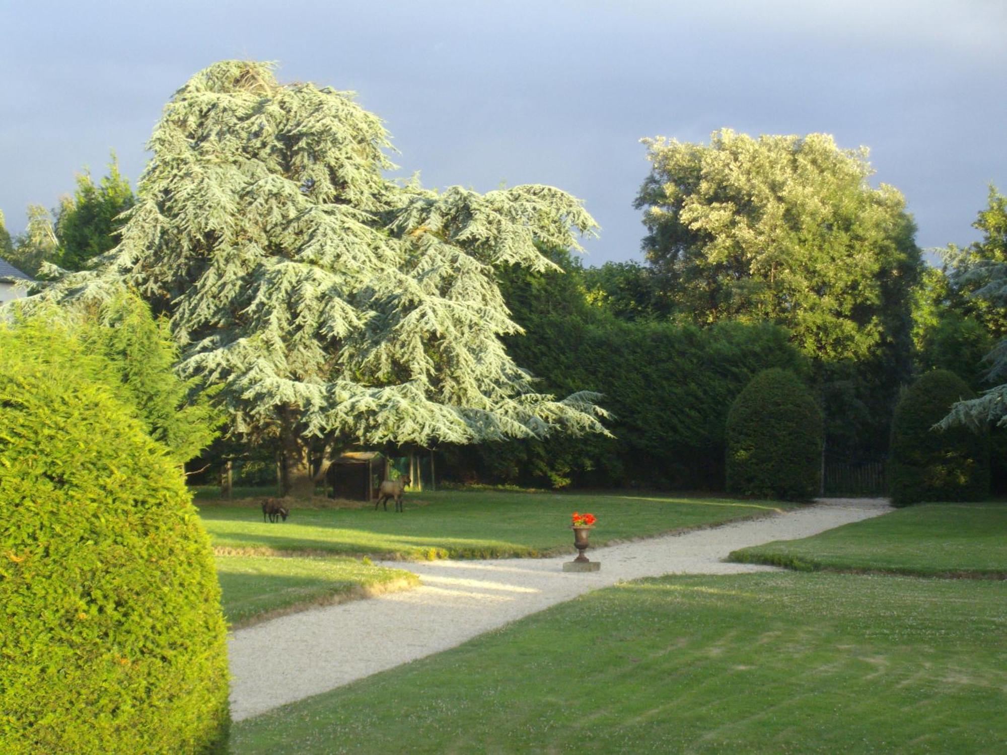 Bed and Breakfast Manoir De La Baronnie Saint-Malo Zewnętrze zdjęcie